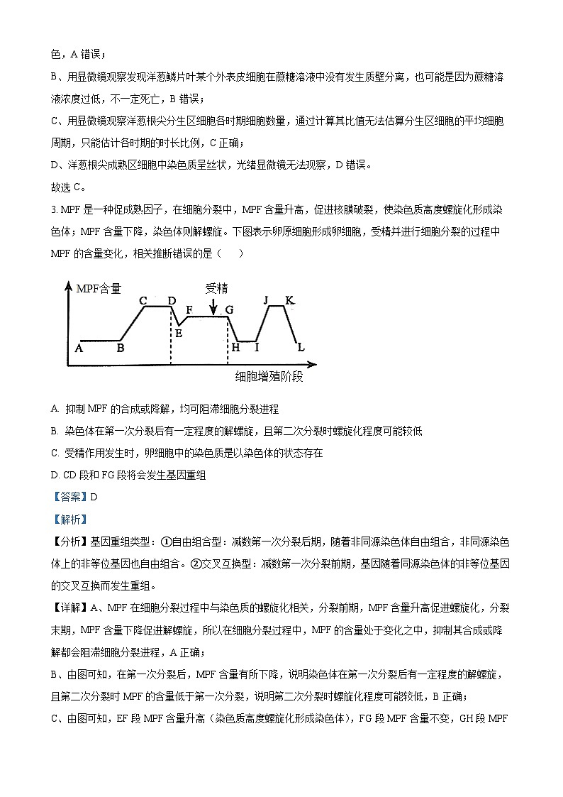 四川省泸州市泸县第一中学2023-2024学年高三上学期一诊模拟生物试题(Word版附解析)第2页