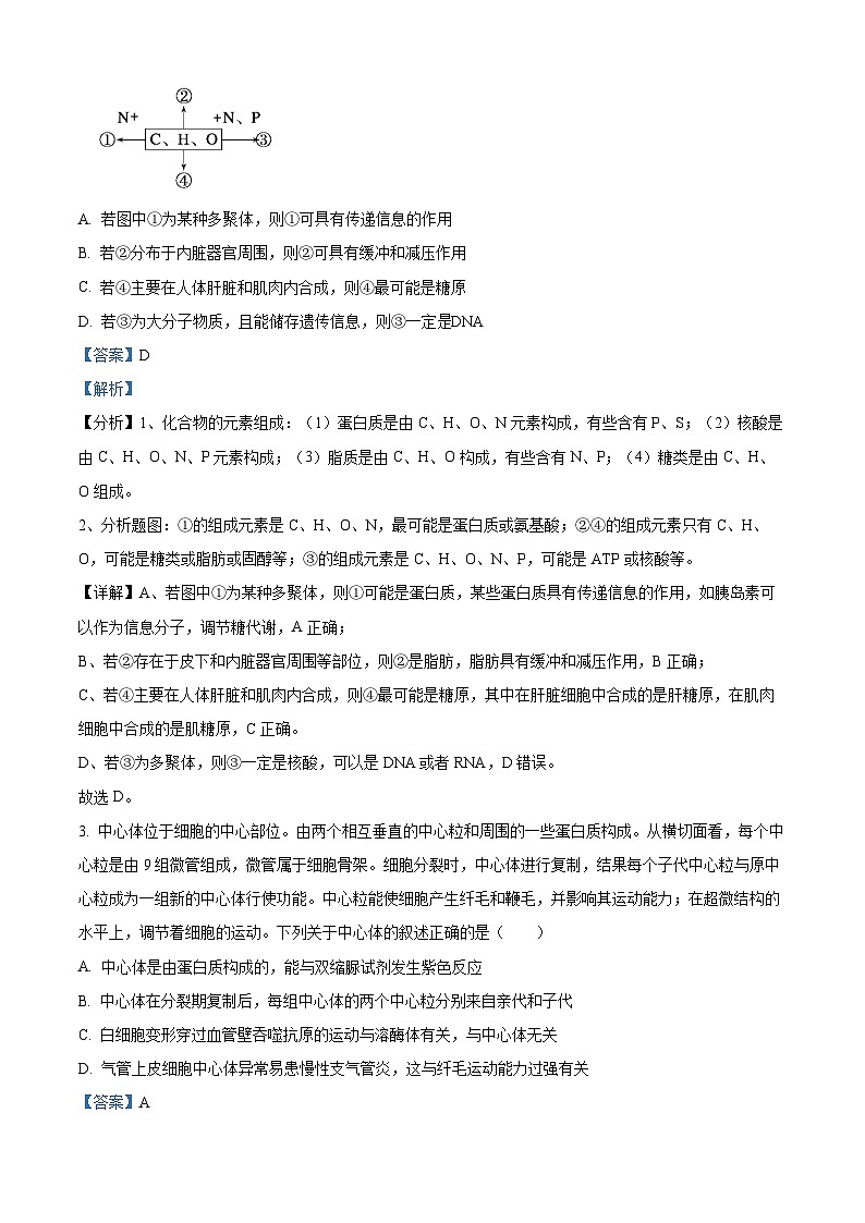 四川省眉山市仁寿一中南校区2023-2024学年高三上学期11月期中理综生物试题(Word版附解析)02