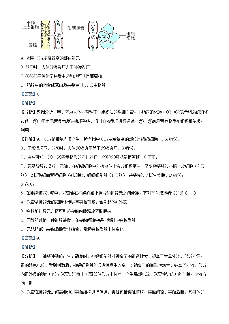 四川省眉山市仁寿一中北校区2023-2024学年高二上学期11月期中生物试题(Word版附解析)03