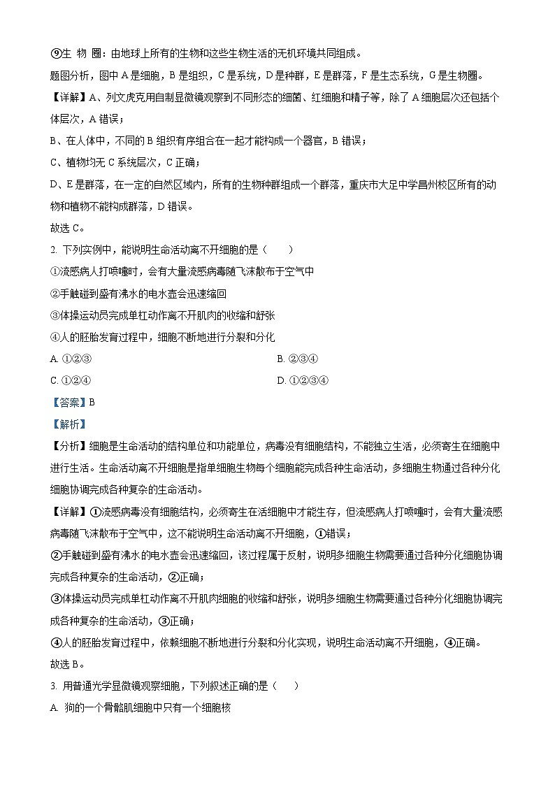 重庆市长寿中学等七校2023-2024学年高一上学期期中联考生物试题(Word版附解析)02