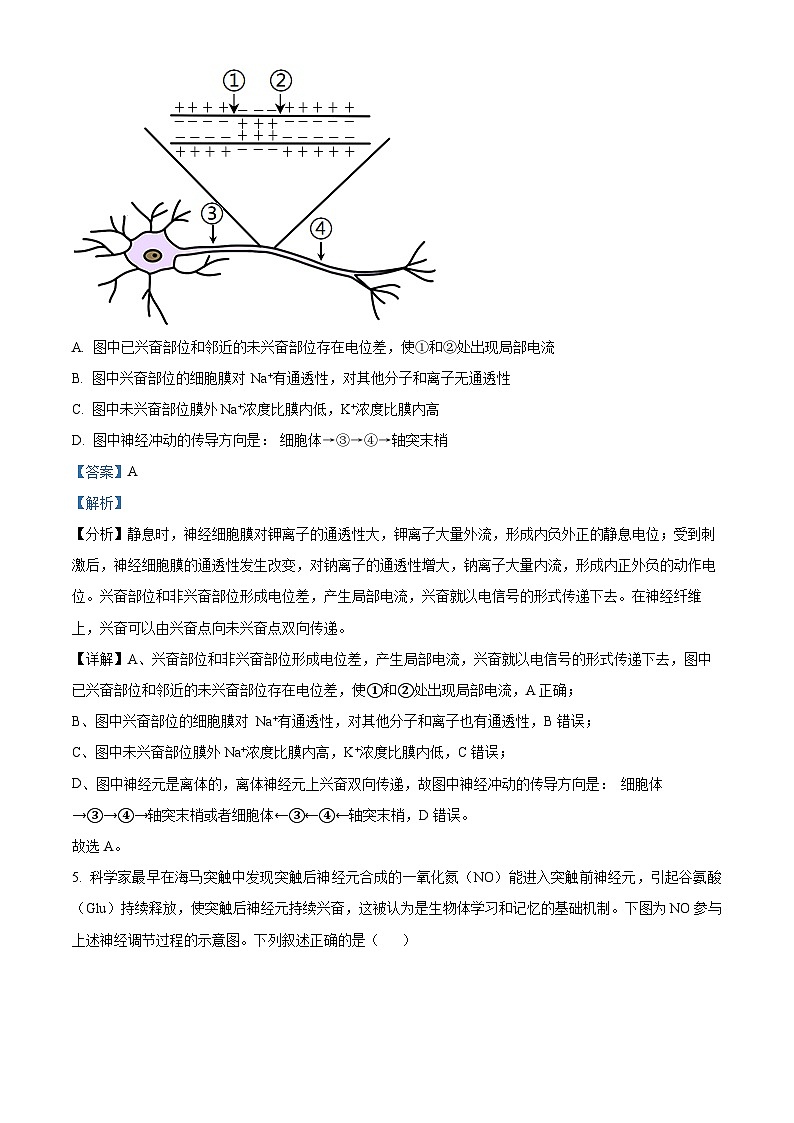 重庆市育才中学等三校联考2023-2024学年高二上学期11月模拟考试生物试题(Word版附解析)03