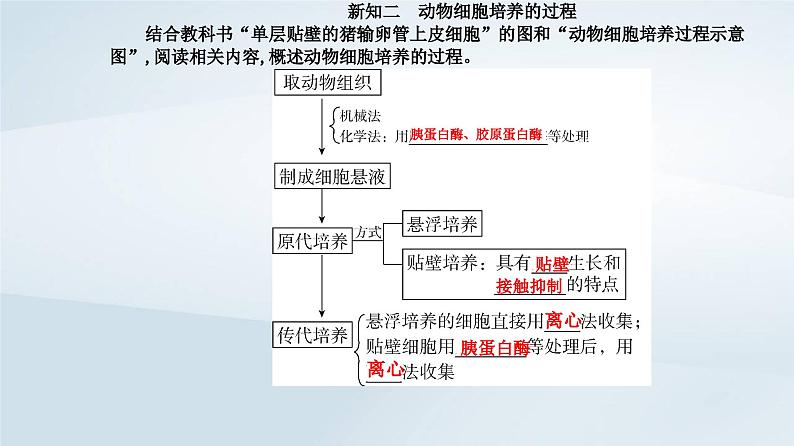 新教材同步辅导2023年高中生物第2章细胞工程第2节动物细胞工程第1课时动物细胞培养课件新人教版选择性必修3第5页