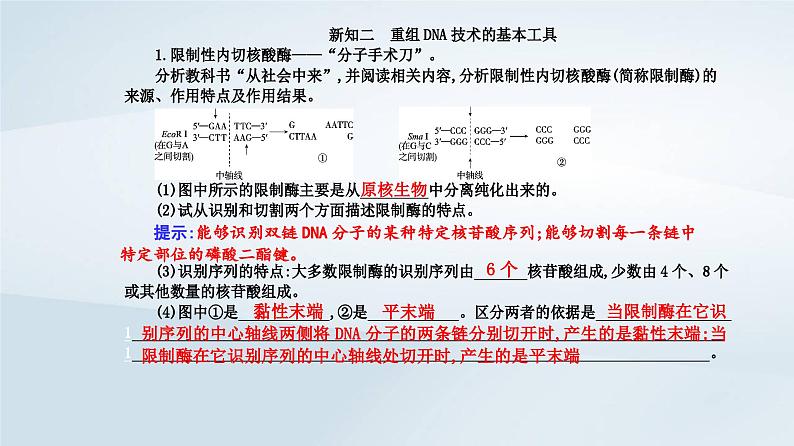 新教材同步辅导2023年高中生物第3章基因工程第1节重组DNA技术的基本工具课件新人教版选择性必修3第5页