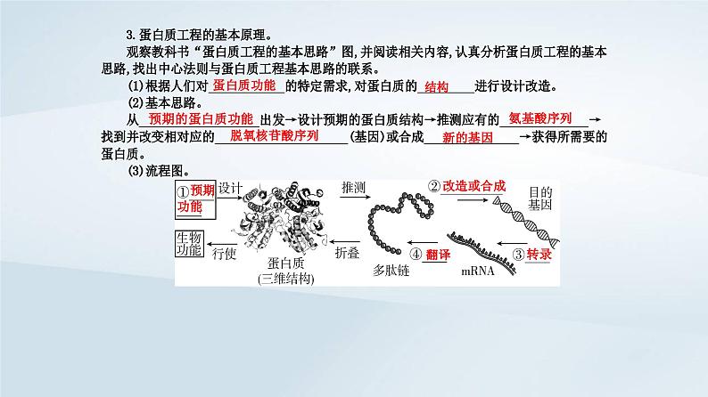 新教材同步辅导2023年高中生物第3章基因工程第4节蛋白质工程的原理和应用课件新人教版选择性必修3第5页