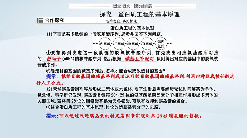 新教材同步辅导2023年高中生物第3章基因工程第4节蛋白质工程的原理和应用课件新人教版选择性必修3第7页