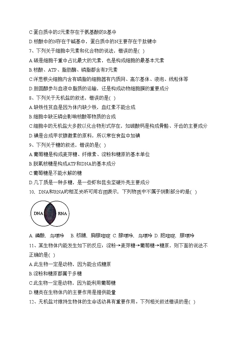 四川省泸县第四中学2023-2024学年高一上学期11月期中考试生物试卷(含答案)第2页