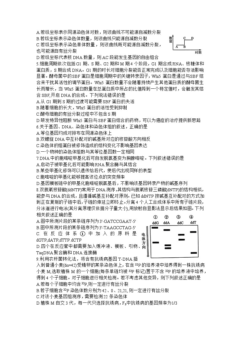 山东名校考试联盟2023年12月高三年级阶段性检测生物第2页