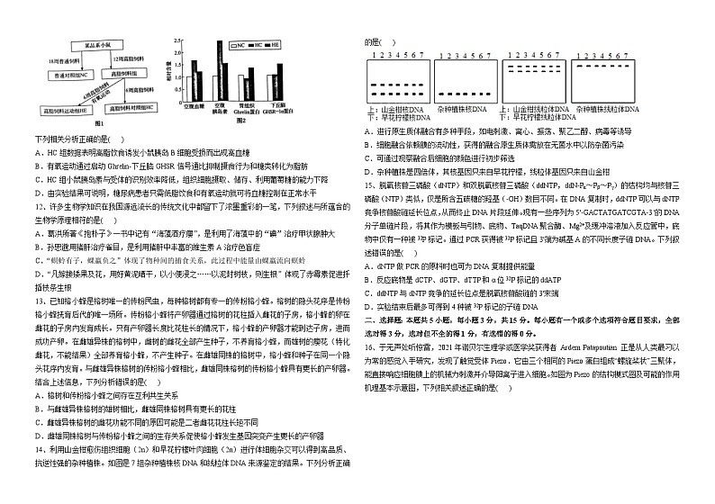 山东省威海市文登区2024届高三上期阶段测试生物试题(12月)第3页