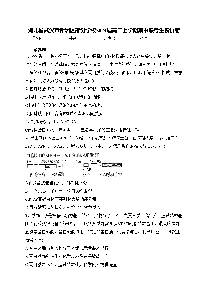 湖北省武汉市新洲区部分学校2024届高三上学期期中联考生物试卷(含答案)01