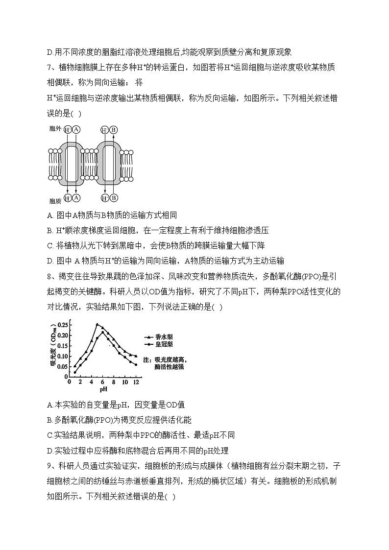 湖北省武汉市新洲区部分学校2024届高三上学期期中联考生物试卷(含答案)03
