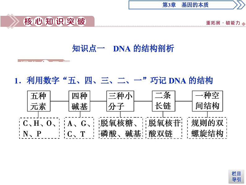 高中生物必修二《第2节 DNA的结构》ppt课件2-统编人教版08