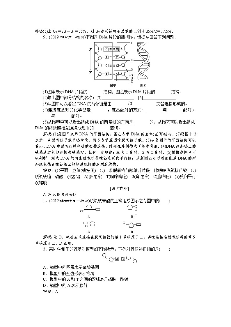 生物高中必修二《第2節(jié) DNA的結(jié)構(gòu)》隨堂達(dá)標(biāo)檢測(cè)-統(tǒng)編人教版第2頁(yè)
