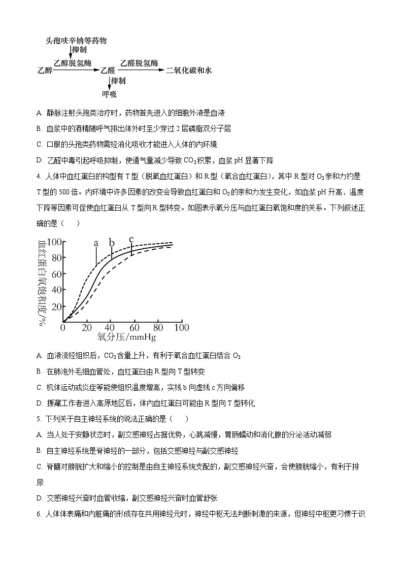 山东省济宁市兖州区2023-2024学年高二上学期期中生物试题(Word版附解析)第2页