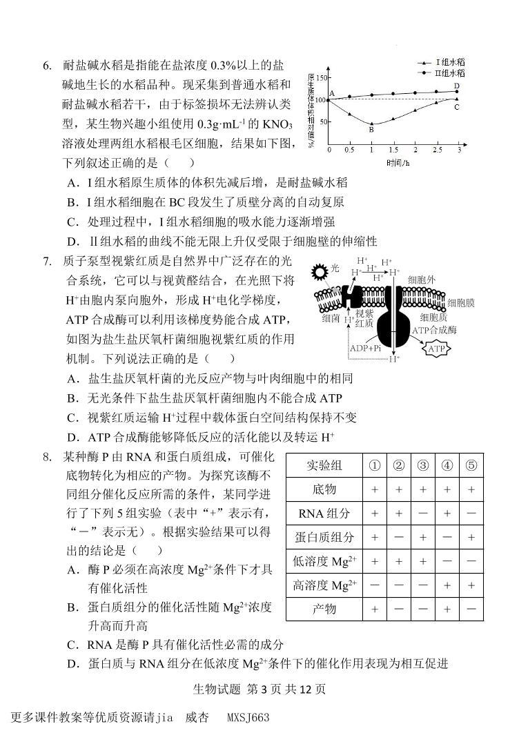 河南省濮阳市第一高级中学2023-2024学年高三上学期期中质量检测生物试卷03