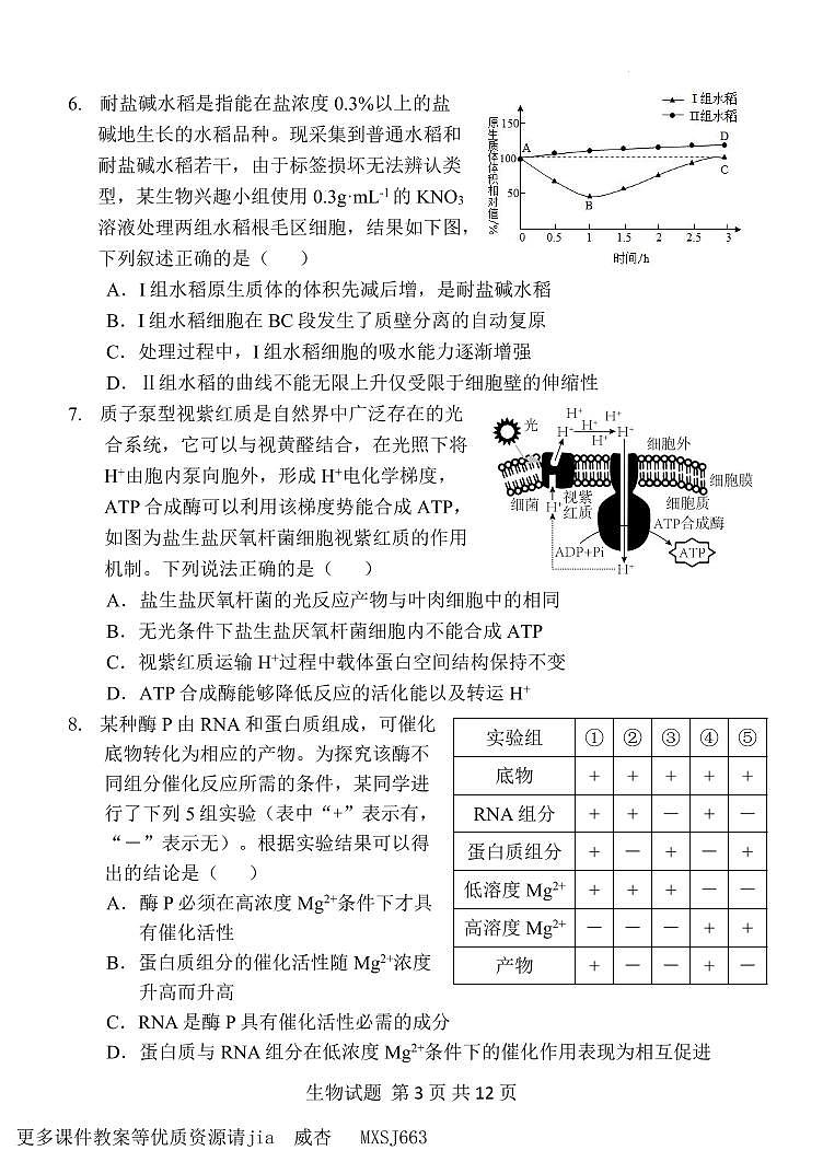 河南省濮阳市第一高级中学2023-2024学年高三上学期期中质量检测生物试卷第3页