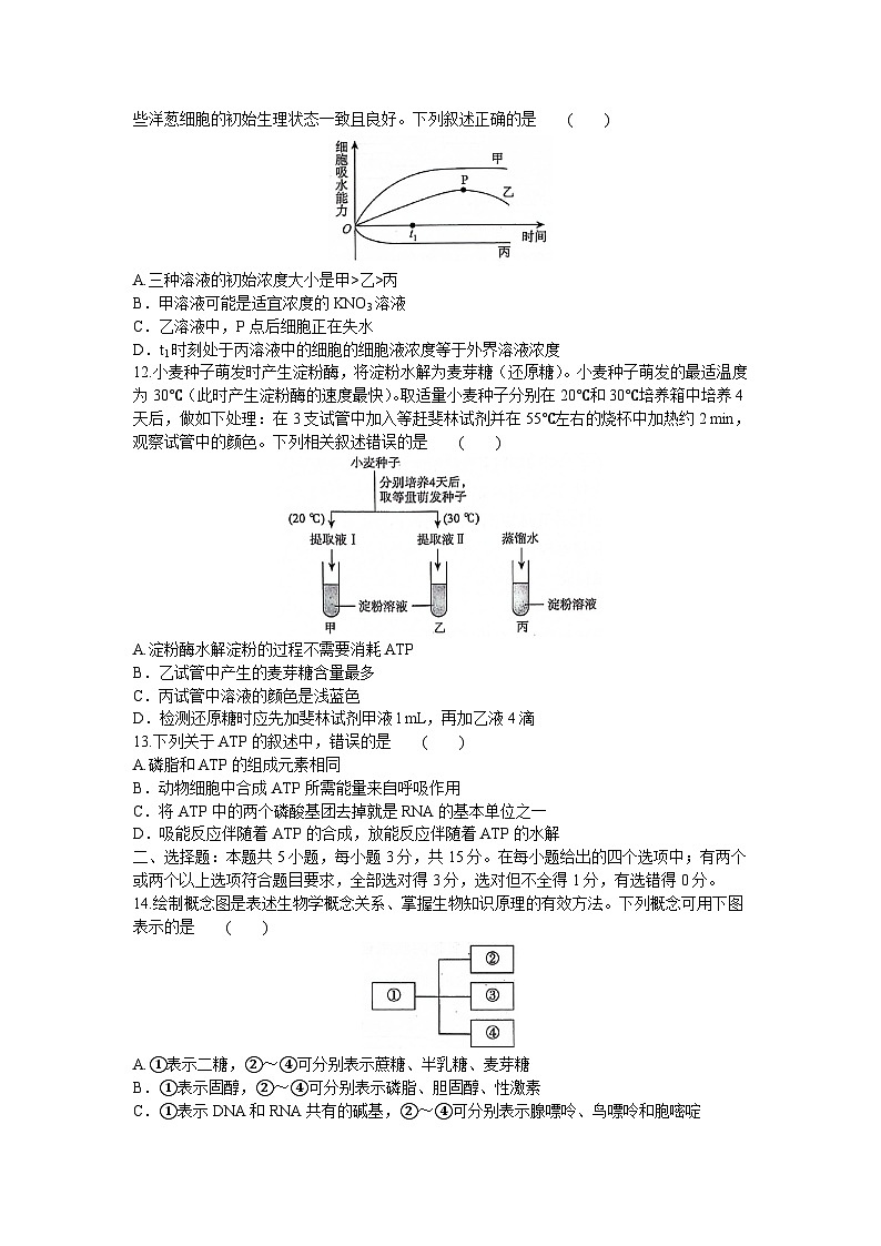 河南省驻马店市青桐鸣联考2023-2024年高一上学期12月考试生物试题第3页