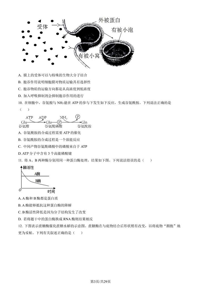 2023年北京丰台高一上学期期末生物试卷及答案(教师版)03