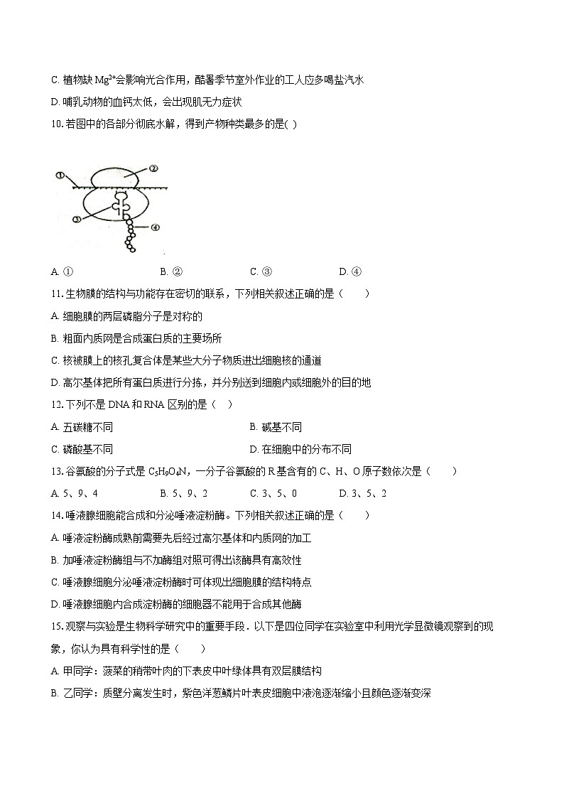 2024长春实验中学高一上学期12月期中考试生物含答案第3页