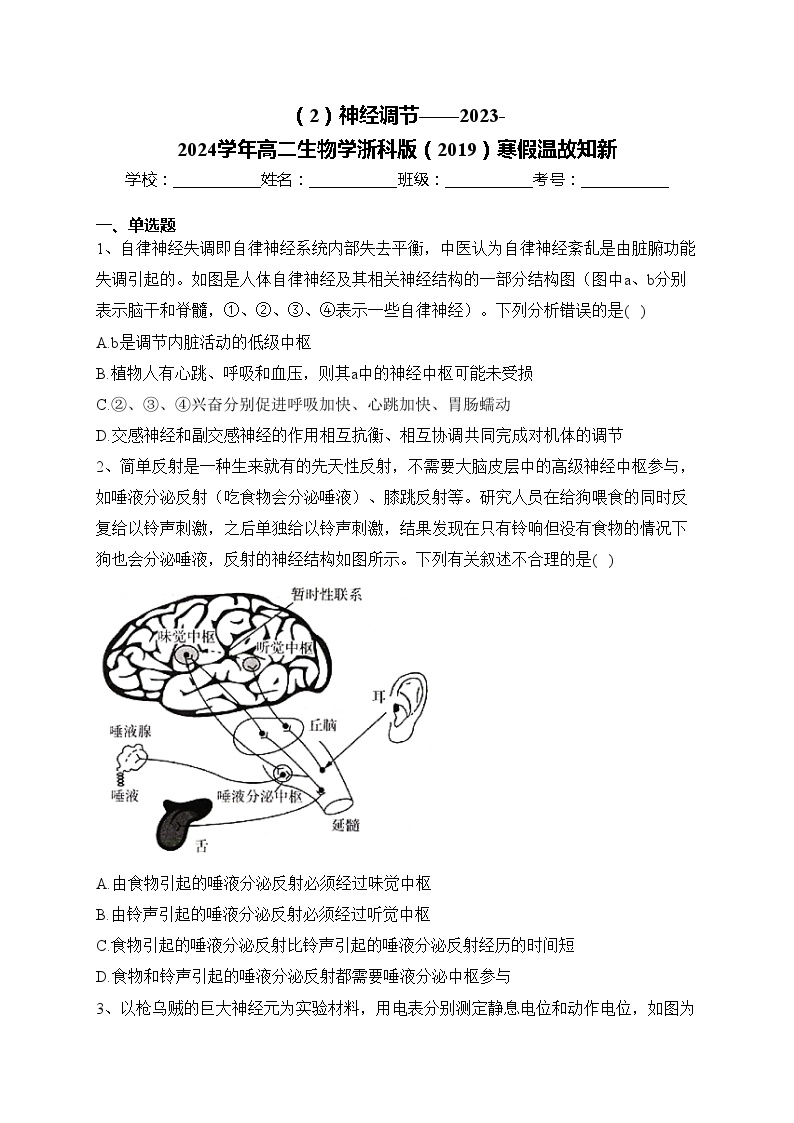 （2）神经调节——2023-2024学年高二生物学浙科版（2019）寒假温故知新(含答案)