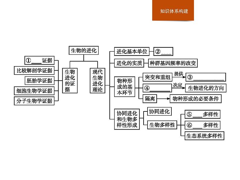 高中生物必修二第6章《本章综合与测试》ppt课件1-统编人教版02