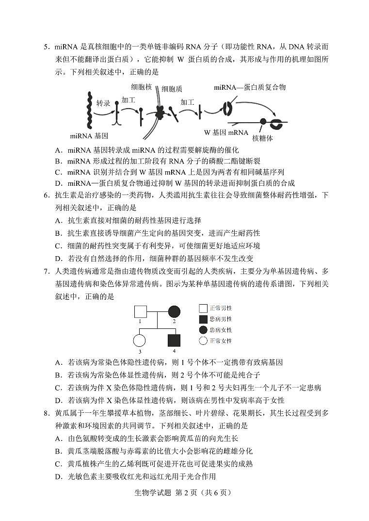 广西南宁市第三中学2024届高三第一次适应性考试(12月联考)生物试题及答案02
