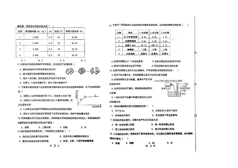 2024天津市五中高一上学期12月月考试题生物PDF版无答案第2页