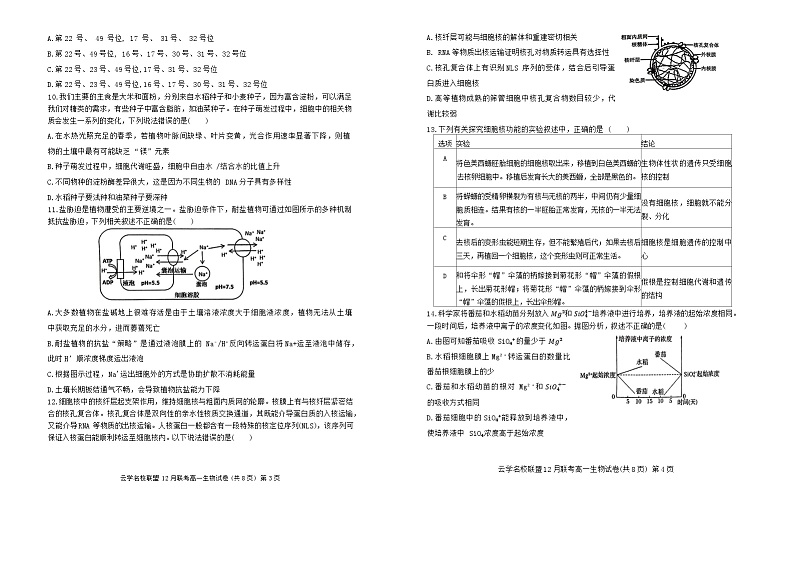 2024湖北省云学名校联盟高一上学期12月联考生物试卷含答案02