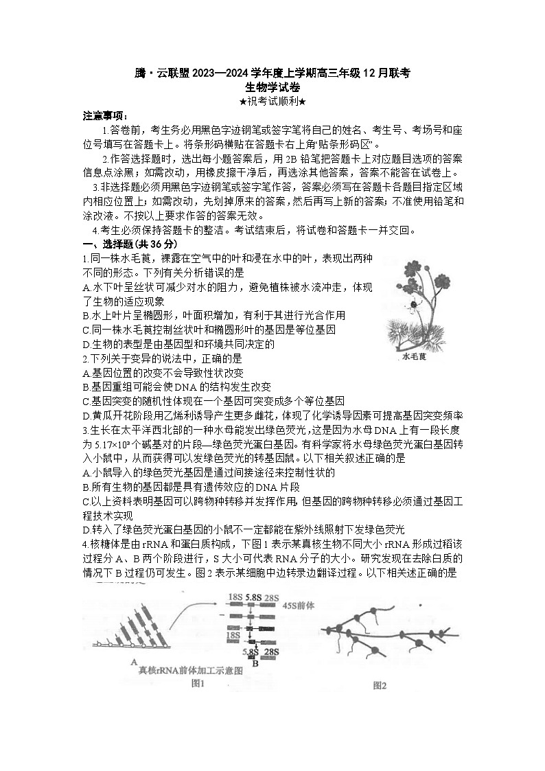湖北省腾云联盟2023-2024学年高三上学期12月联考生物试卷(Word版附答案)第1页