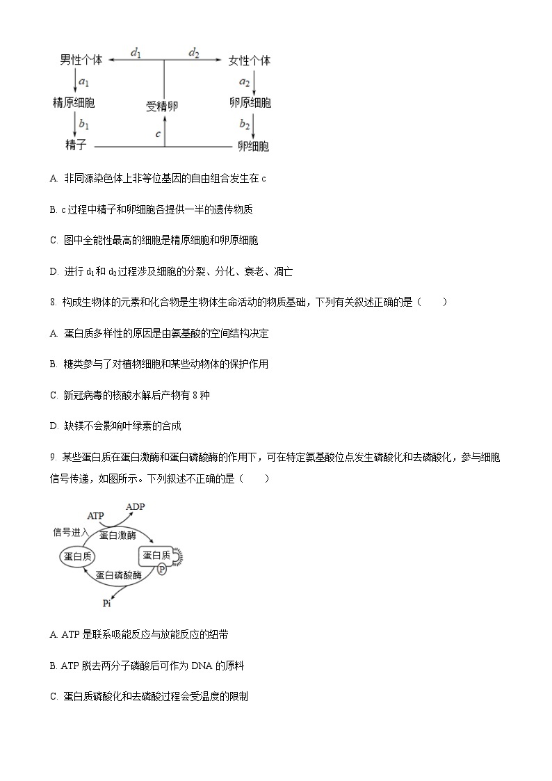 2022-2023学年福建省福州市八县（市）协作校高三上学期期中联考生物试题含解析03