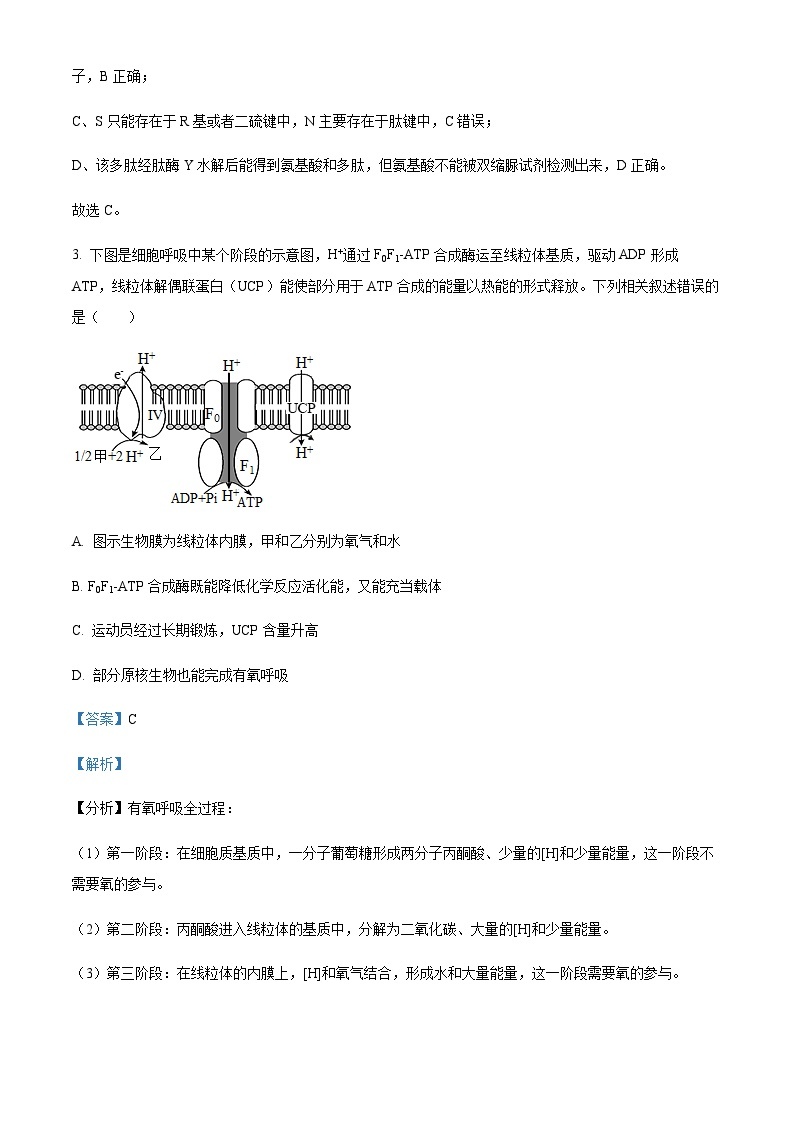 2022-2023学年新疆维吾尔自治区喀什地区巴楚县第一中学高三上学期11月期中考试生物试题含解析03