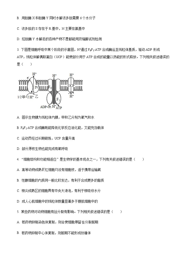 2022-2023学年新疆维吾尔自治区喀什地区巴楚县第一中学高三上学期11月期中考试生物试题含解析02