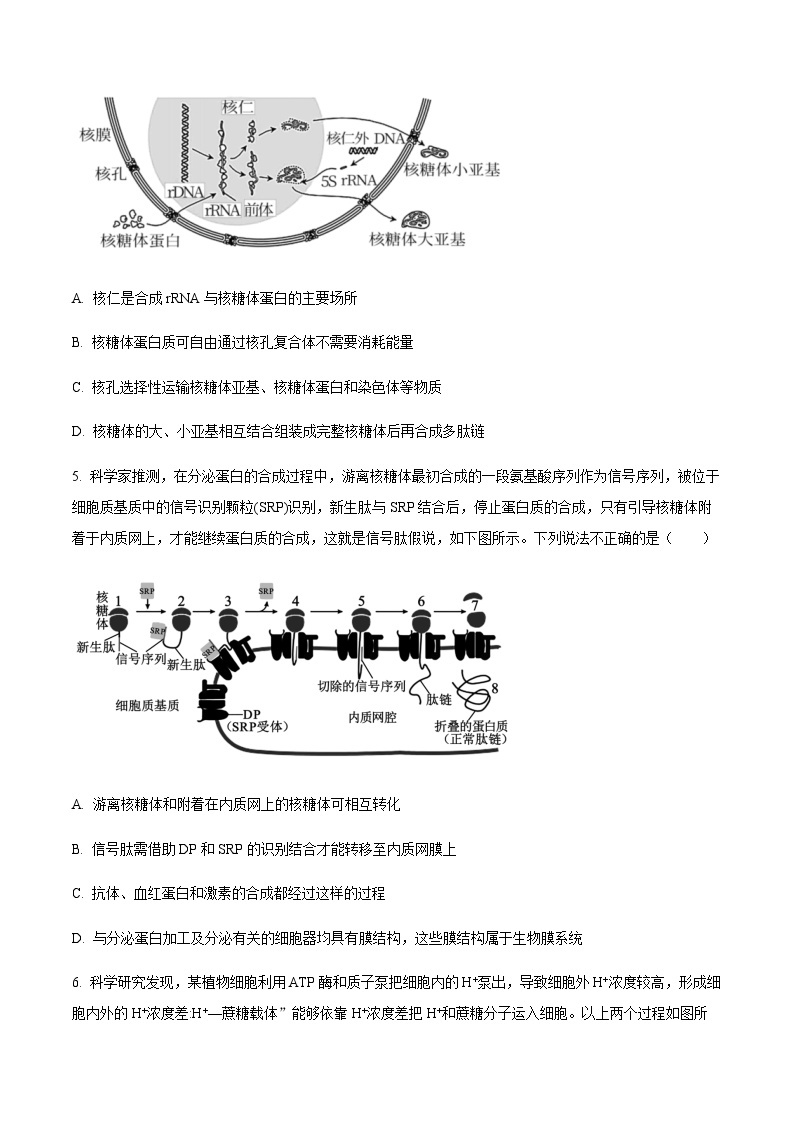 2022-2023学年新疆乌鲁木齐市第七十中学高三上学期期中生物试题含解析02