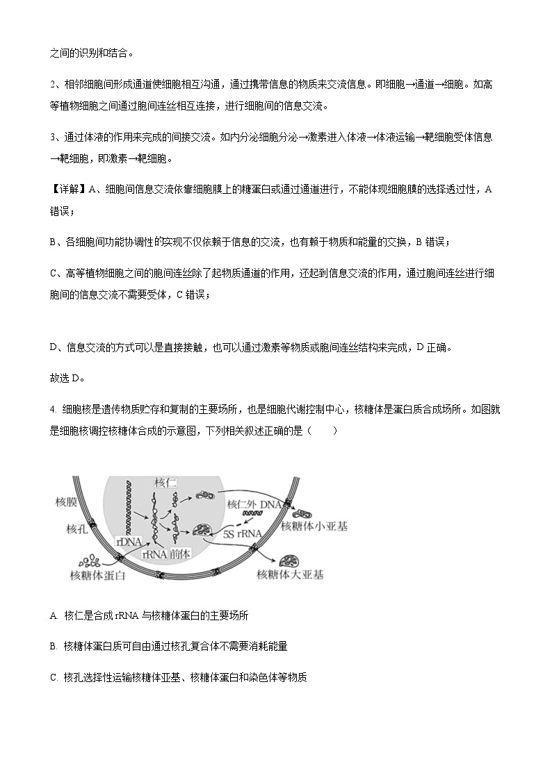 2022-2023学年新疆乌鲁木齐市第七十中学高三上学期期中生物试题含解析03