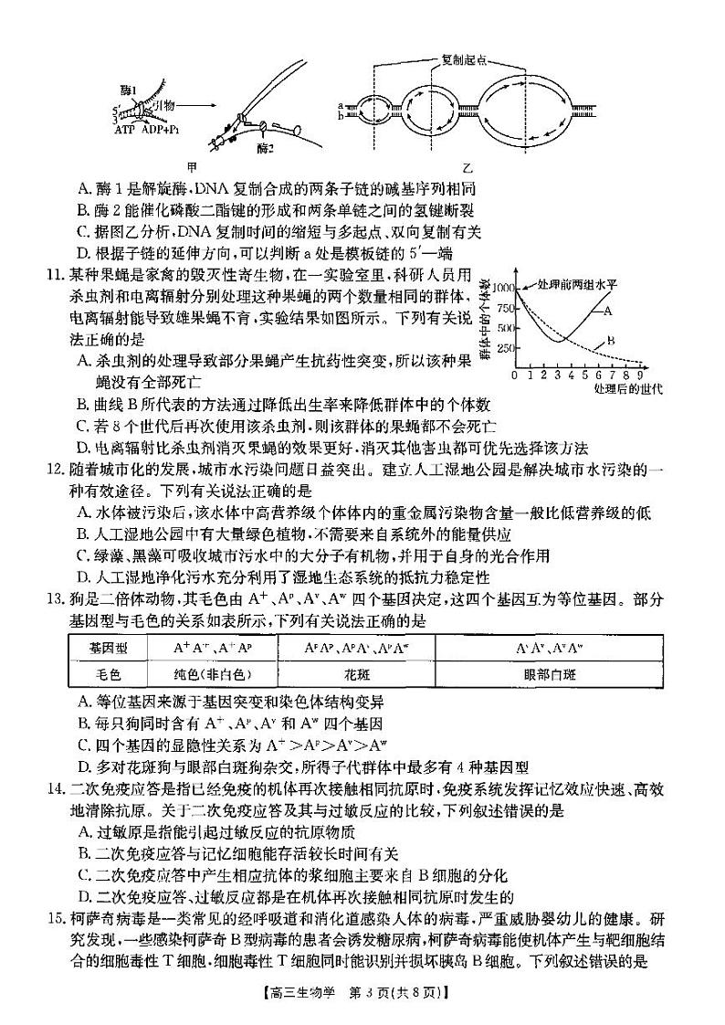 2024届河南省许昌高级中学许平汝名校高三上学期期中联考生物word版含答案03