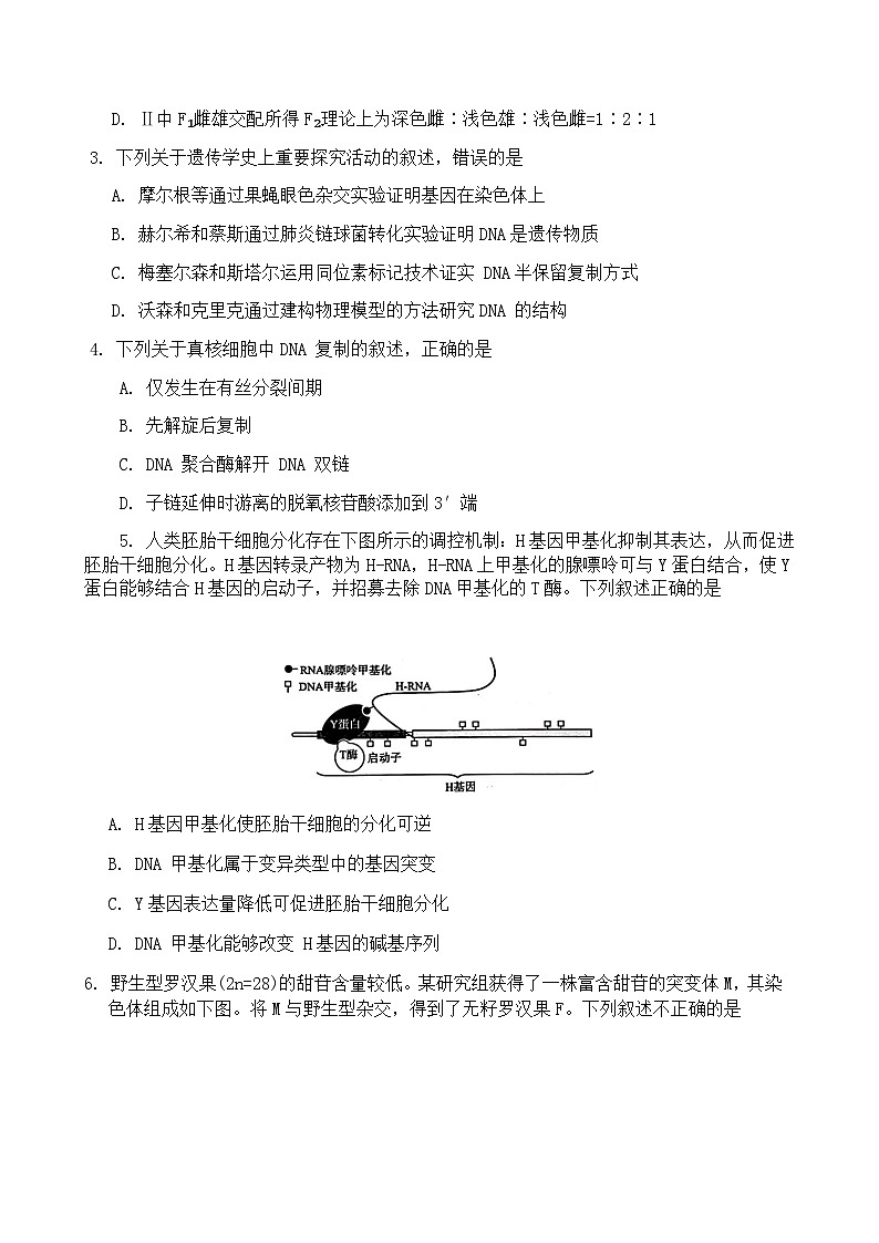 2023-2024学年北京市海淀区实验中学高三上学期期中考试生物word版含答案02