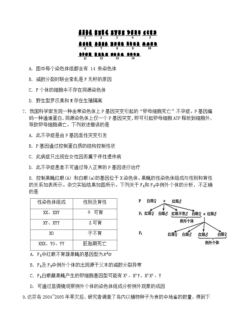 2023-2024学年北京市海淀区实验中学高三上学期期中考试生物word版含答案03