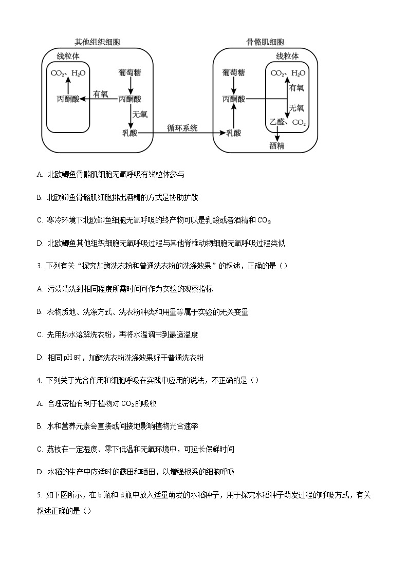 2023-2024学年福建省厦门市双十中学高三11月期中生物试题含解析02