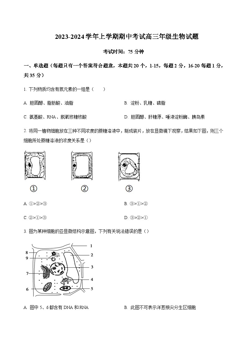 2023-2024学年河北省衡水市冀州中学高三上学期期中考试生物含解析01