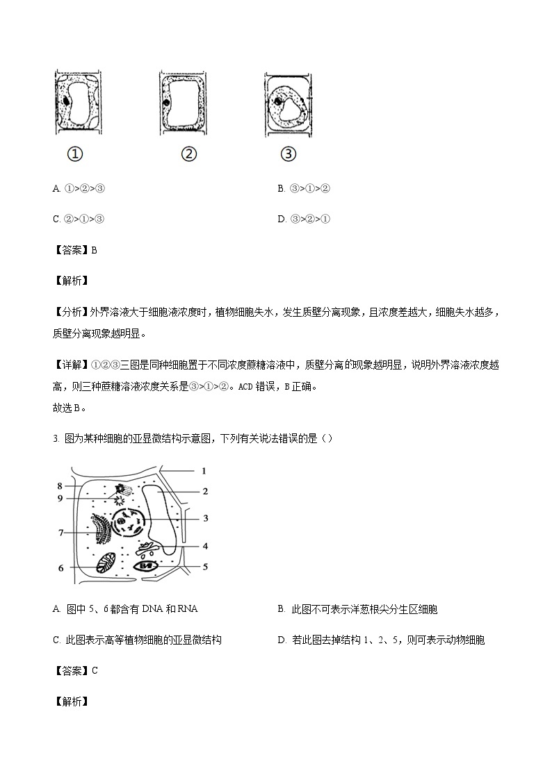 2023-2024学年河北省衡水市冀州中学高三上学期期中考试生物含解析02