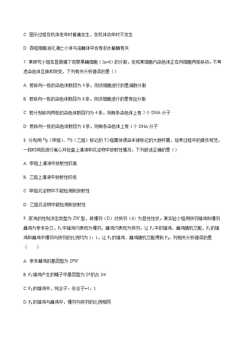 2023-2024学年河北省邢台市一中五岳联盟高三上学期10月期中考试生物含解析03