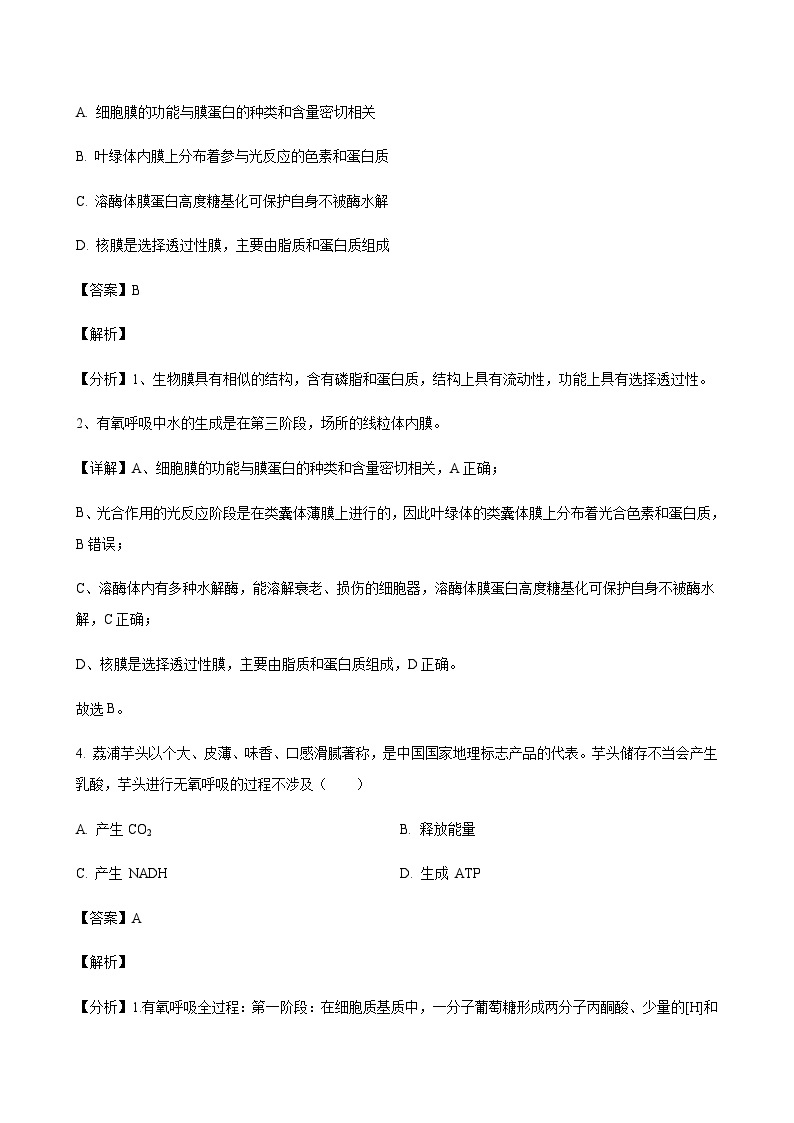 2023-2024学年河北省邢台市一中五岳联盟高三上学期10月期中考试生物含解析03