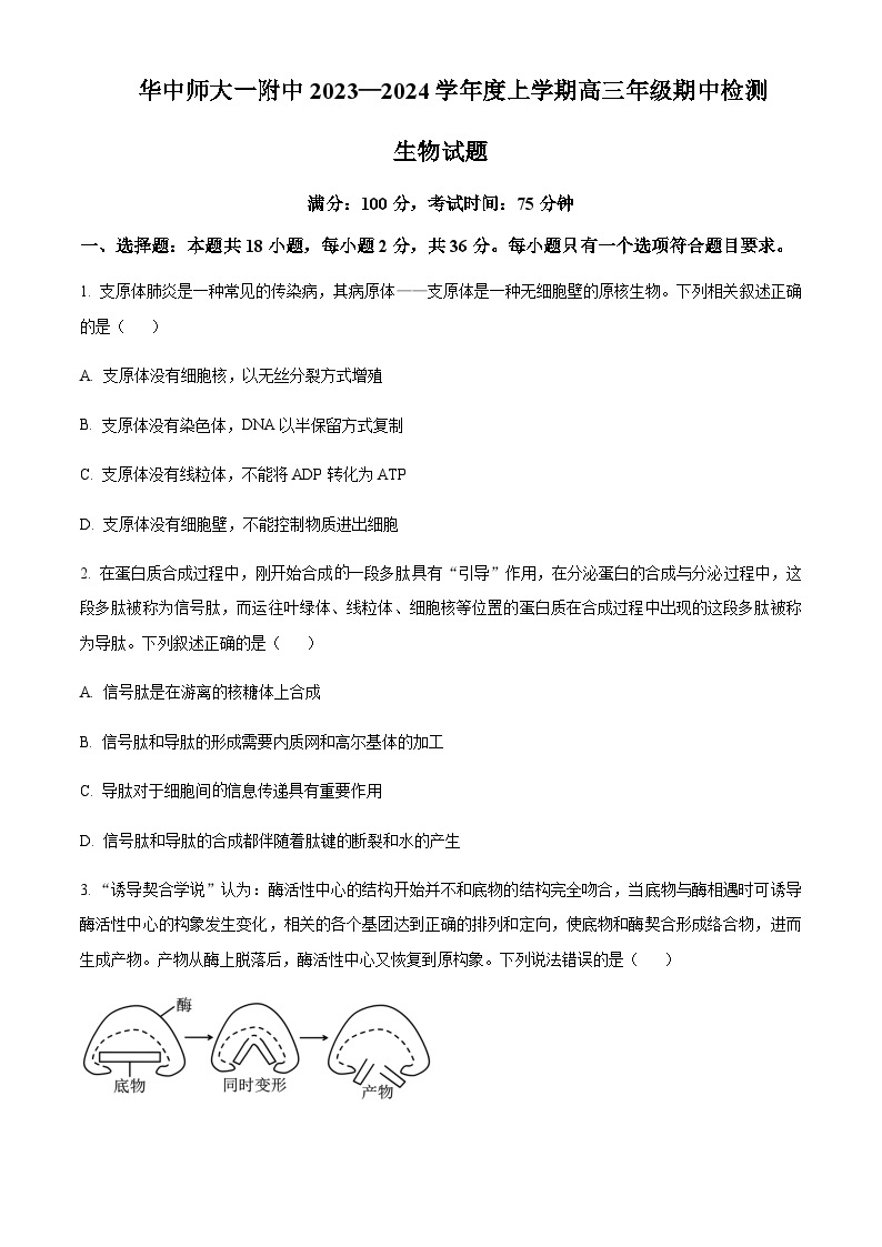 2023-2024学年湖北省武汉市华中师范大学第一附属中学高三上学期期中生物试题含解析01