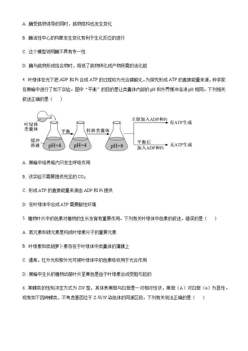 2023-2024学年湖北省武汉市华中师范大学第一附属中学高三上学期期中生物试题含解析02