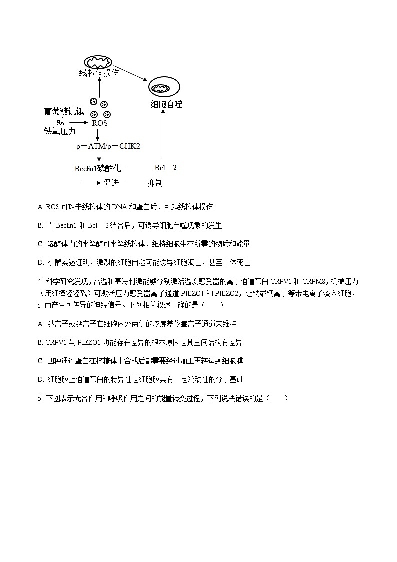 生物试题第2页