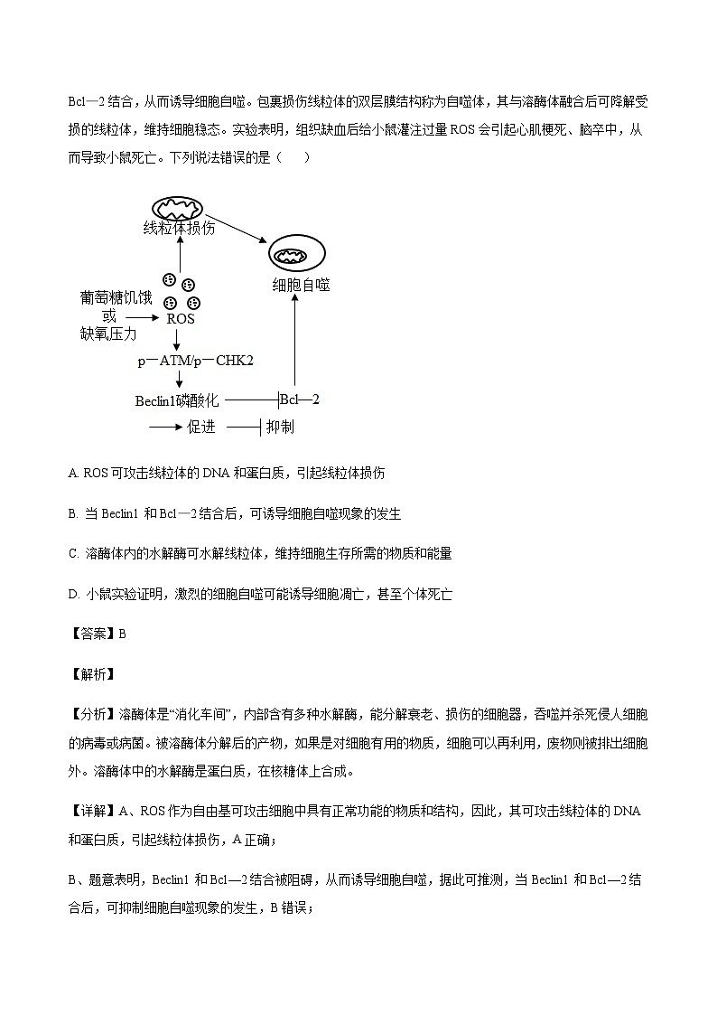 生物答案第3页