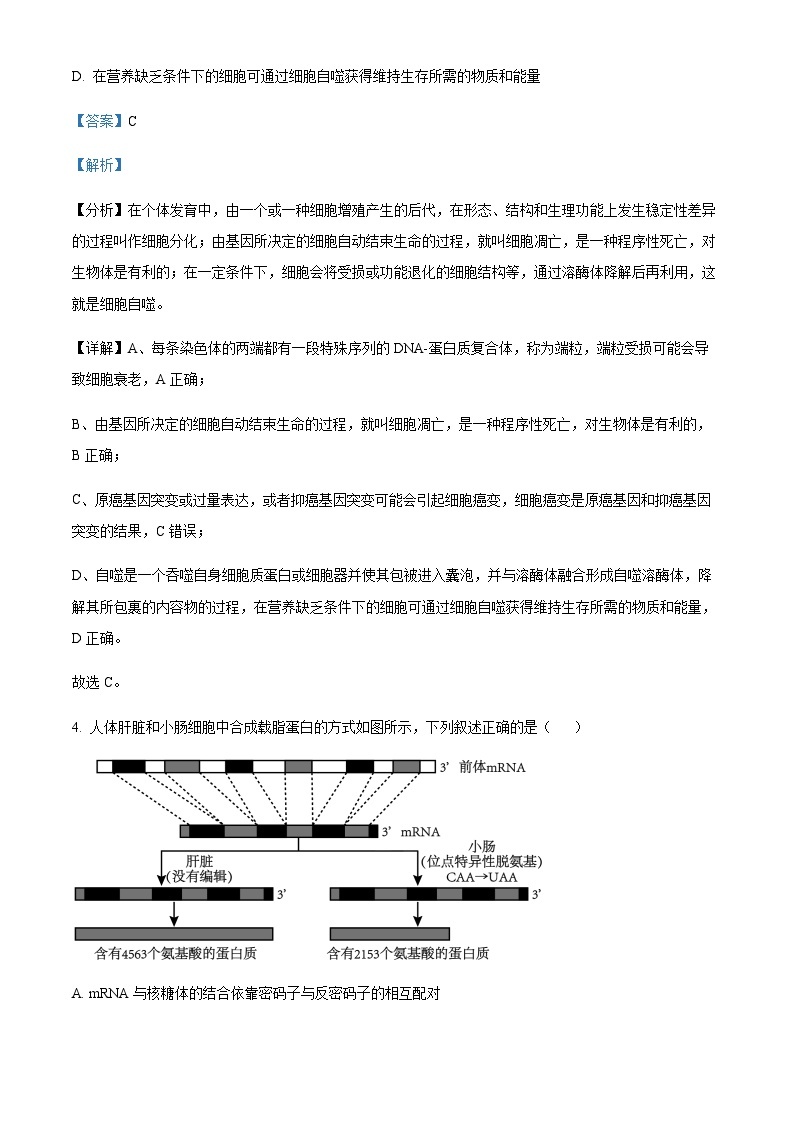 2023-2024学年江苏省徐州市高三上学期11月期中生物试题含解析03