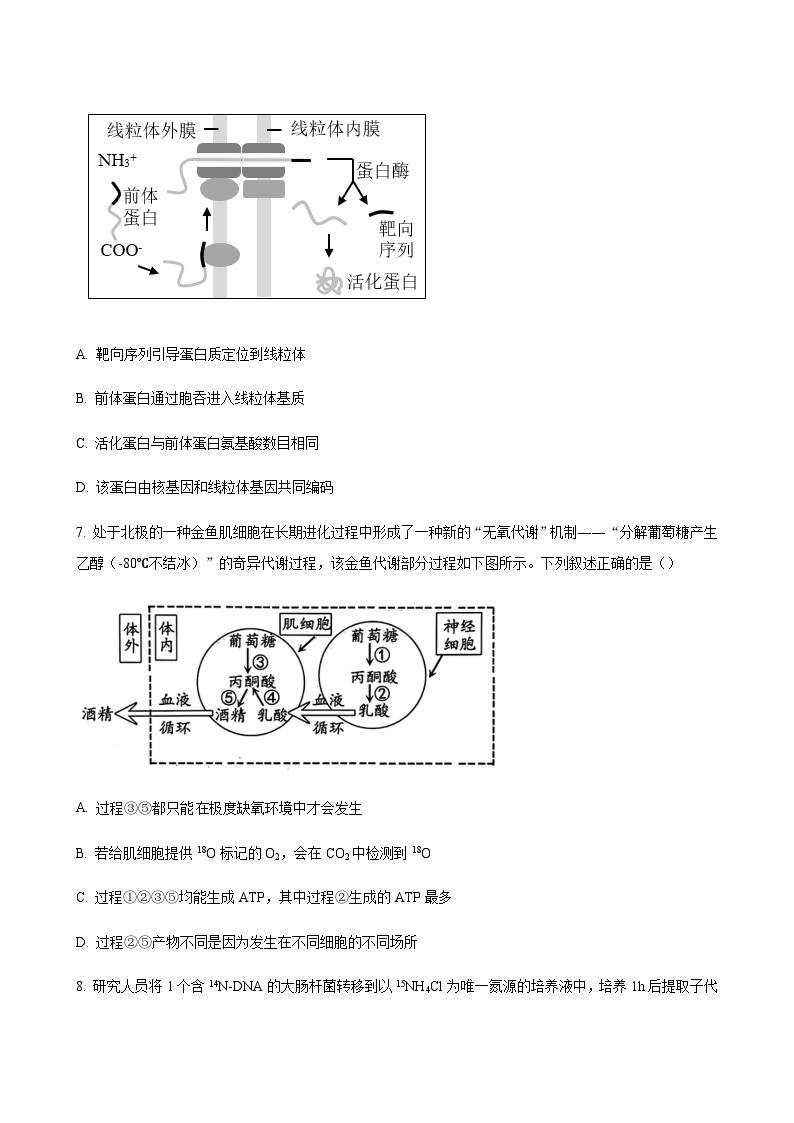 2023-2024学年江苏省扬州市高三上学期11月期中检测生物word版含答案03