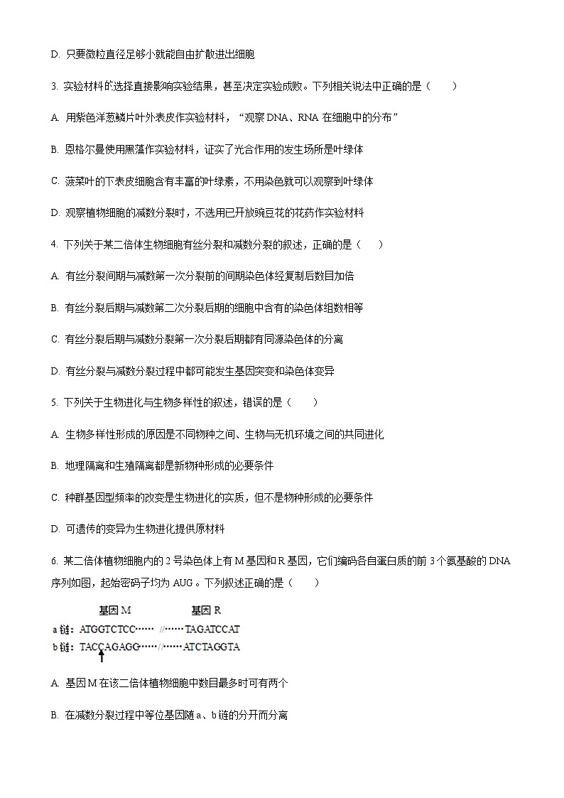 2023-2024学年四川省成都外国语学校高三上学期期中生物试题含解析02