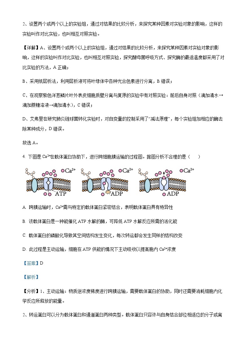 2023-2024学年天津市河西区实验中学高三上学期期中生物试题含解析03