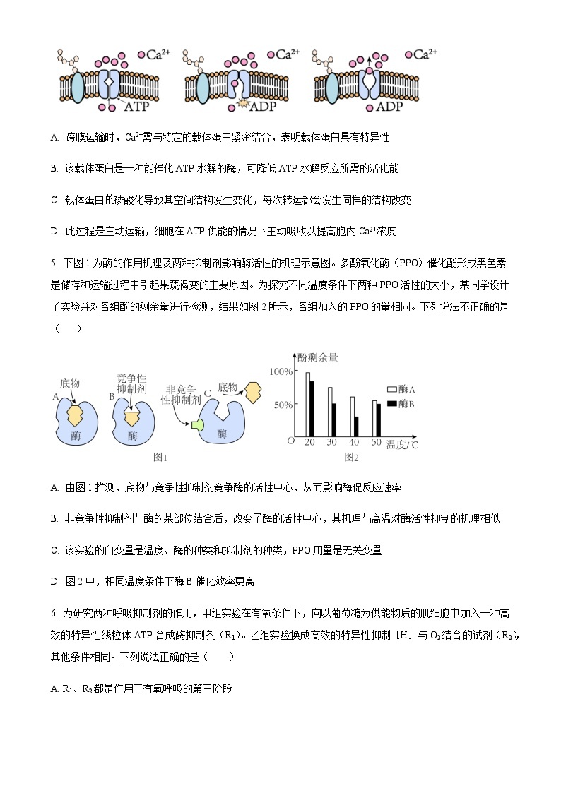 2023-2024学年天津市河西区实验中学高三上学期期中生物试题含解析02